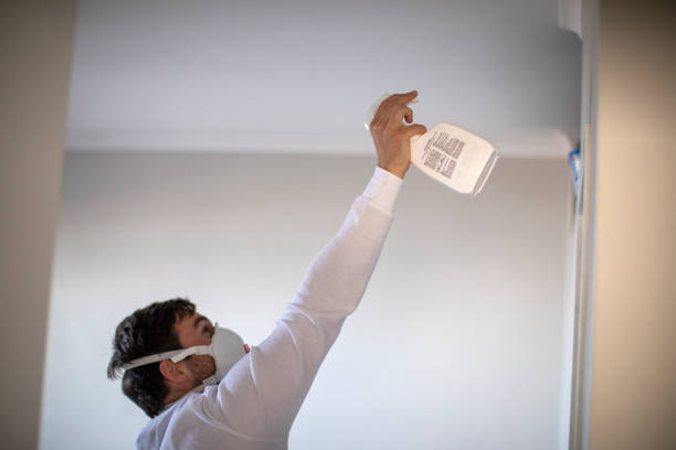 Best Commercial Mold Remediation in Woodville, AL