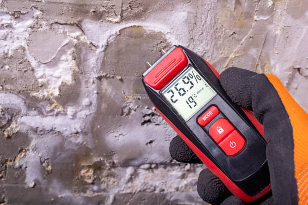 Best Post-Flood Mold Remediation in Woodville, AL