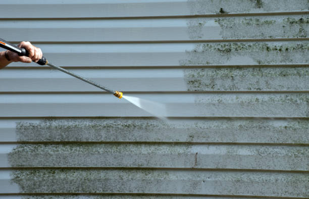 Best Mold Remediation for Specific Building Types in Woodville, AL