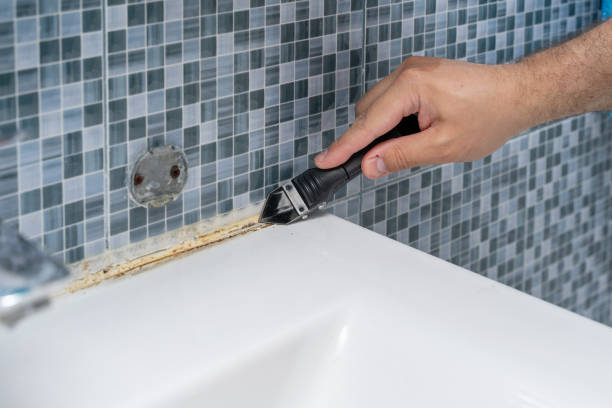 Trusted Woodville, AL Mold Remediation Experts